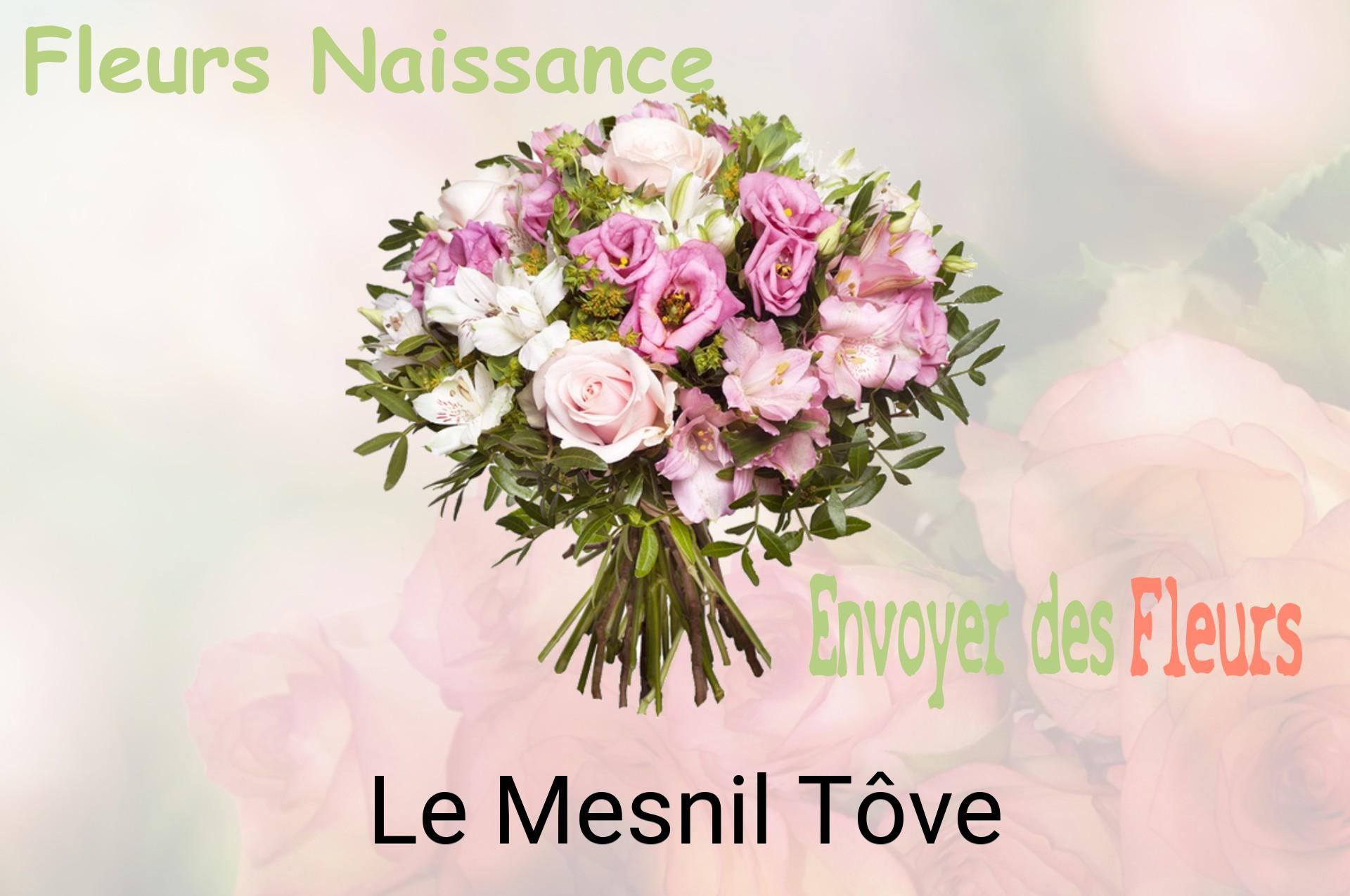 Bouquet de fleurs de naissance livré à Le Mesnil-Tôve